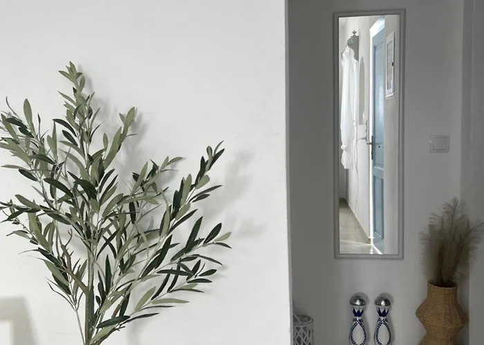 Apartamento Cozam Mykonos Ano Mera