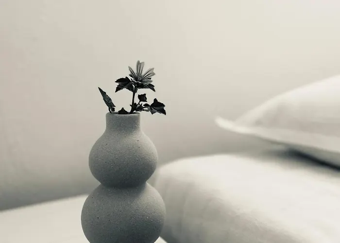 Cozam Mykonos * Ano Mera