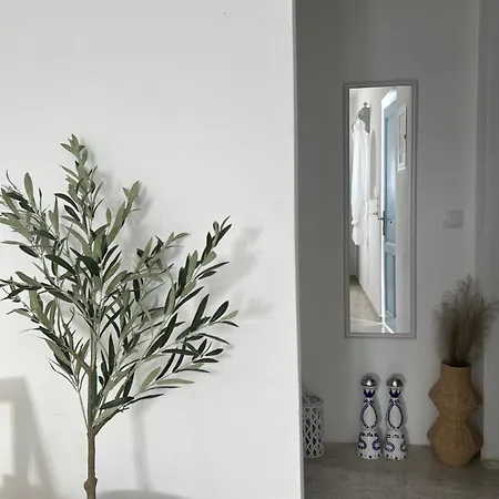 Lägenhet Cozam Mykonos Ano Mera